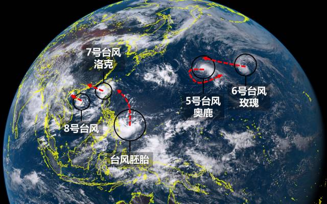 台风最新动态报告