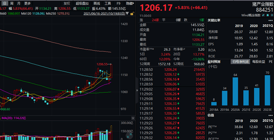 集团简介 第330页